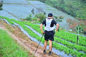 BIB: 1287
                            <button type="button" onclick="openModal(13378121)" class="btn btn-primary btn-sm float-right btn-popup" data-toggle="modal" data-target=".modal-high-quality">
                        <i class="fas fa-shopping-cart"></i> Add to Cart
                    </button>
                                            <button type="button" onclick="isThisMe(13378121, true)" class="btn btn-success btn-sm float-right btn-popup btn-isme hidden" data-toggle="tooltip" data-placement="bottom" title="นี่คือรูปของคุณใช่ไหม คลิกที่นี่เพื่อเอาเข้าอัลบั้ม">
                        <i class="fas fa-plus"></i> Add to album
                    </button>
                    <button type="button" onclick="isThisMe(13378121, false)" class="btn btn-warning btn-sm float-right btn-popup btn-isnotme hidden">
                        <i class="fas fa-ban"></i> Remove from album
                    </button>